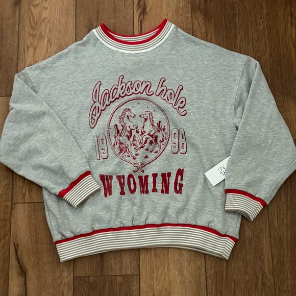 Gray and Red Jackson Hole Wyoming Sweater - Picture 1 of 1